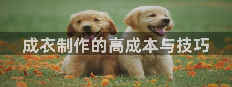 天辰娱乐平台入口