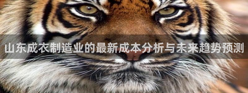 天辰娱乐文化