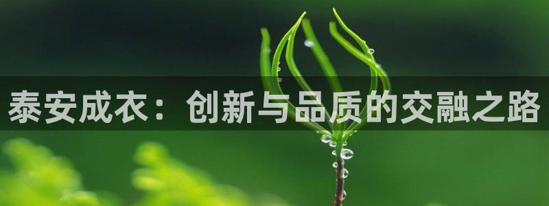 天辰娱乐平台入口