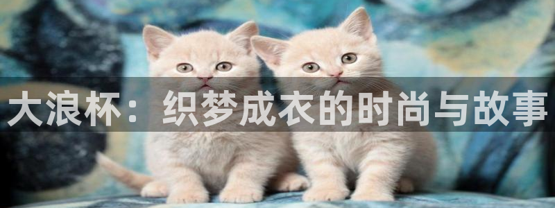 天辰娱乐反水